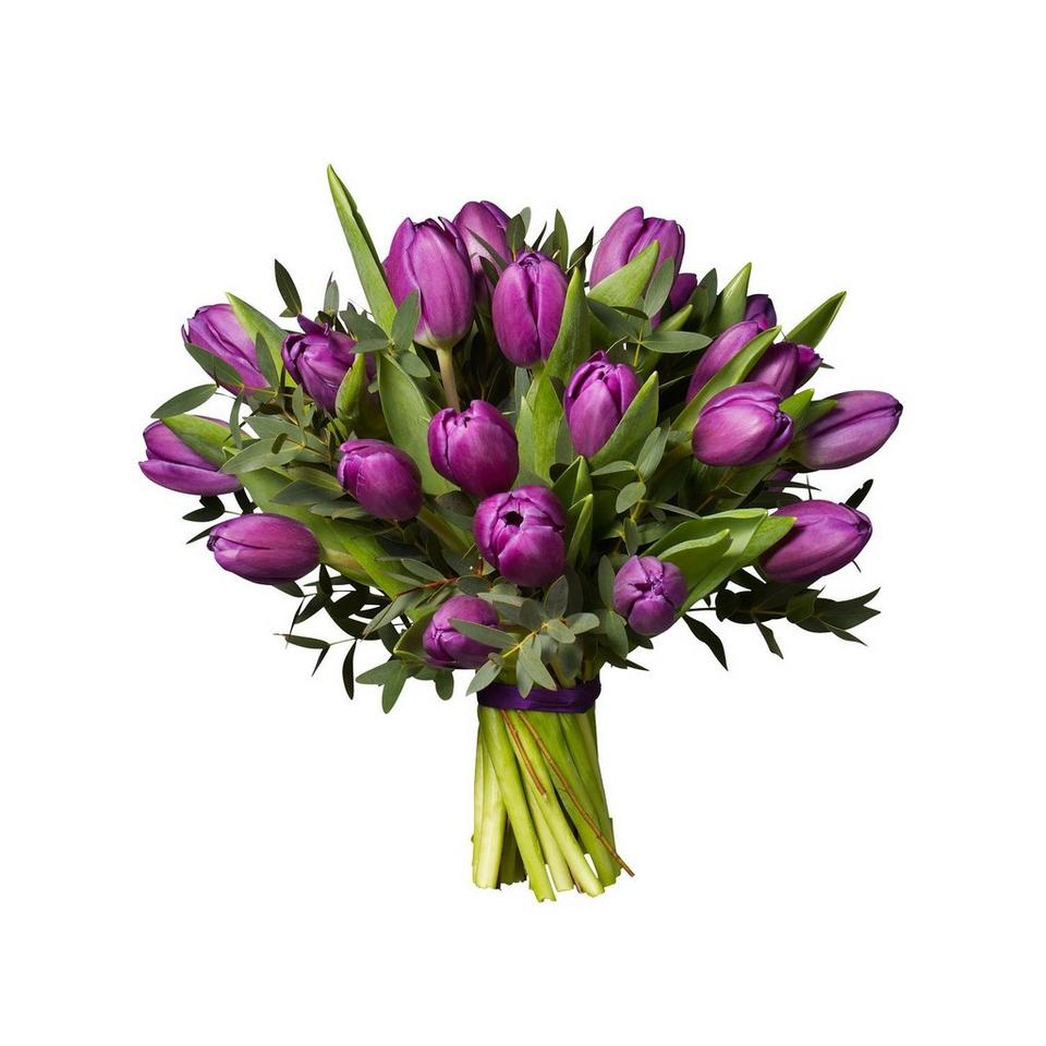 Image 1 of 1 of Purple Tulips