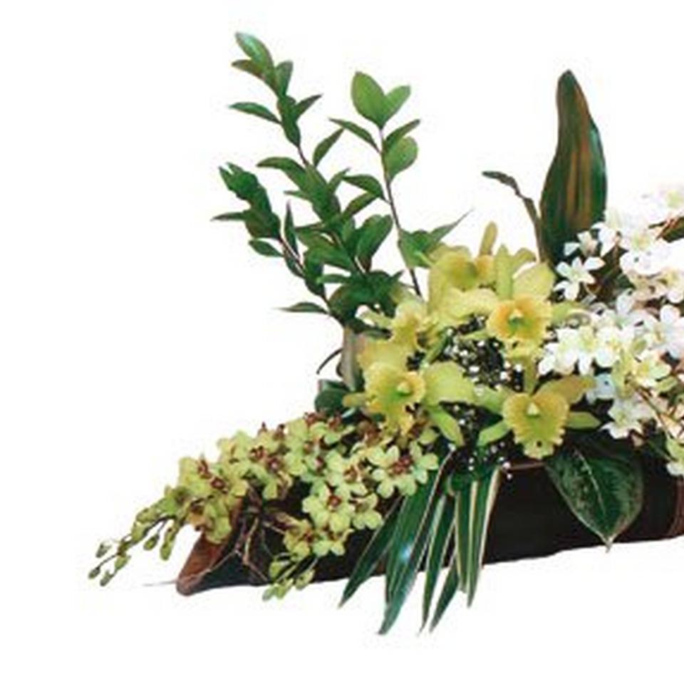Image 1 of 1 of Arrangement of Orchids