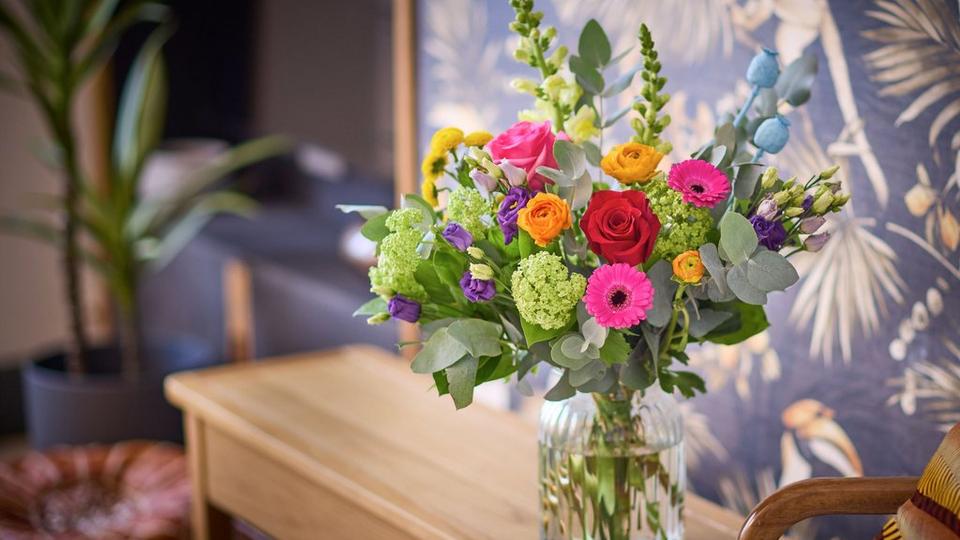 2025-SPRING-PRODUCT-INTERFLORA-BRAND-IMAGERY-CROP