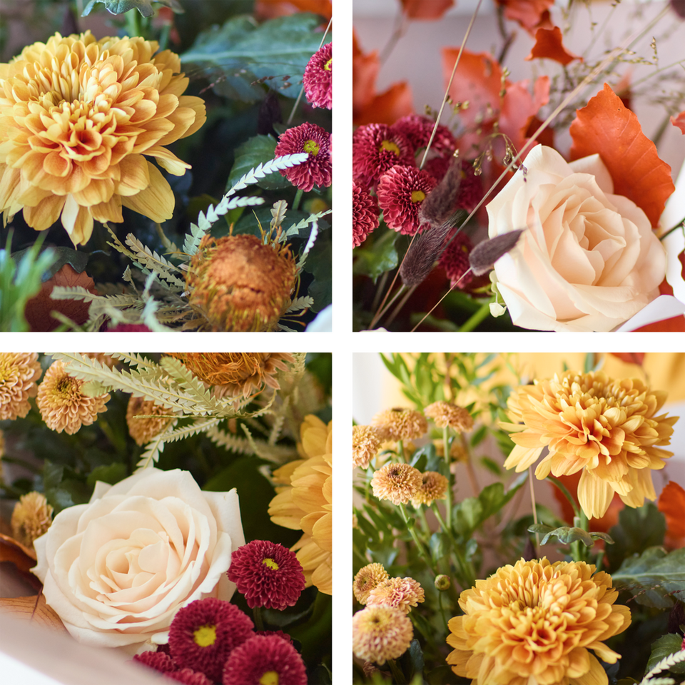 Image 2 of 4 of The Calming Chrysanthemums