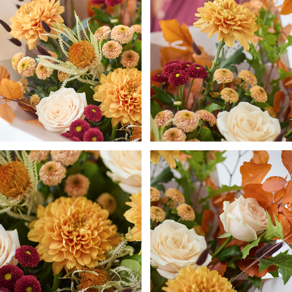 Image 2 of 4 of The Chrysanthemum Glow