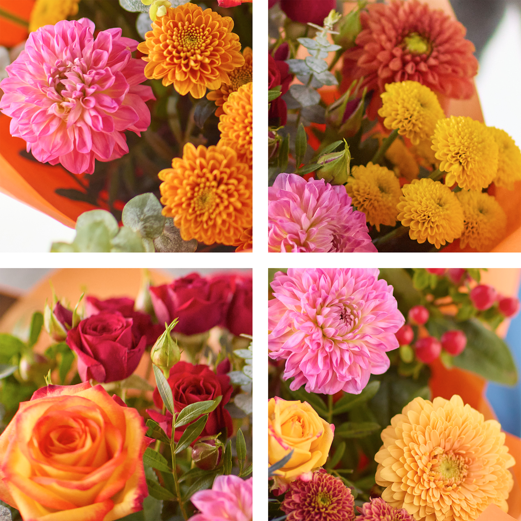 Image 2 of 4 of The Dahlia Delight