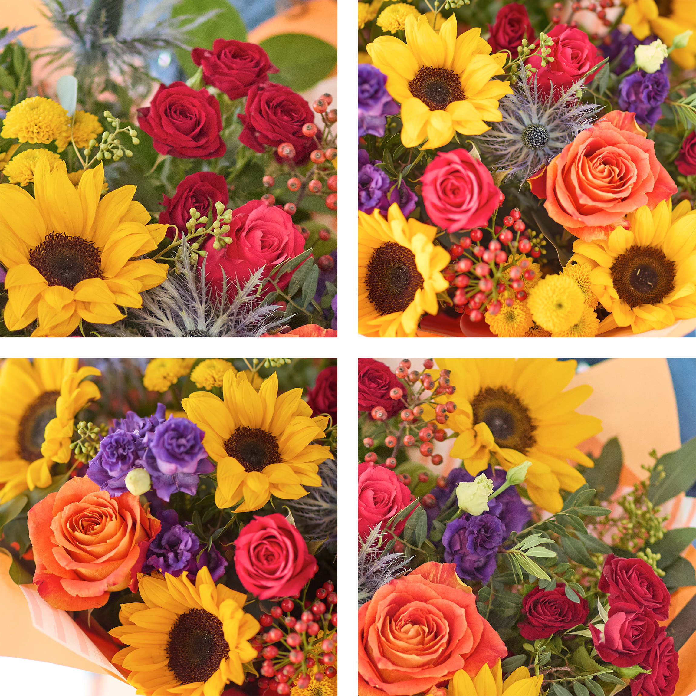 Image 2 of 4 of The Sunflower Carnival