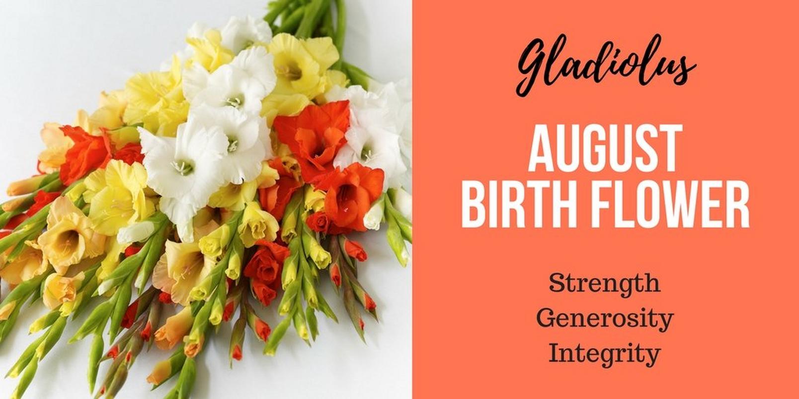 August-birth-flowerff