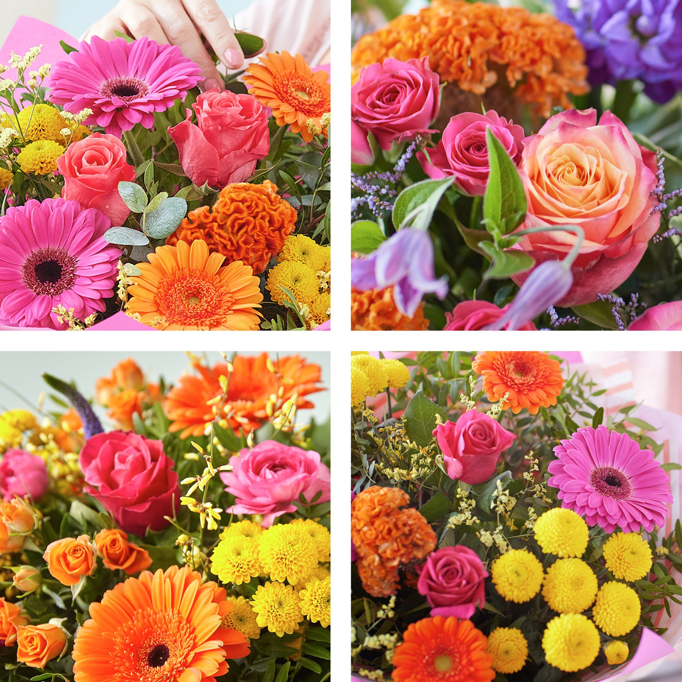 Image 2 of 4 of The Brightest Birthday Bundle