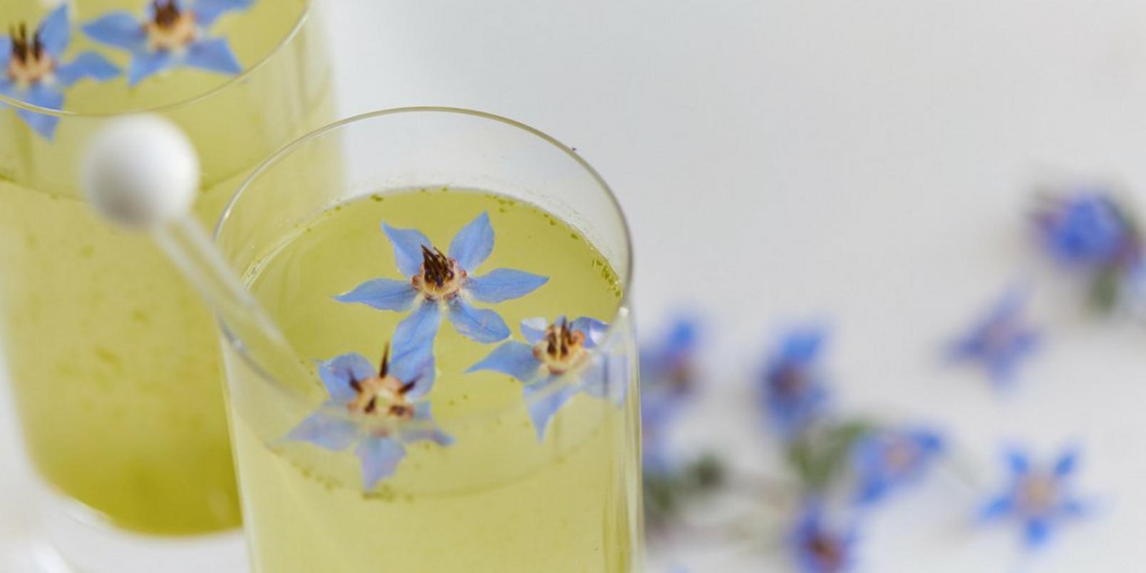 Borage-Lemonade-summer-cocktail-closeup