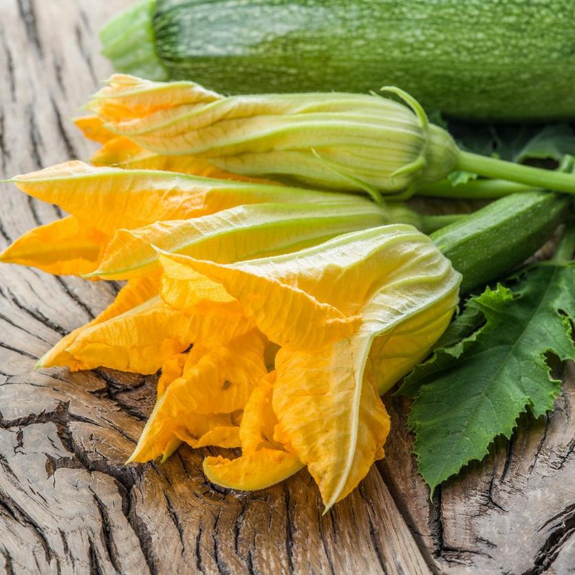 Bright_yellow_courgette_flowers