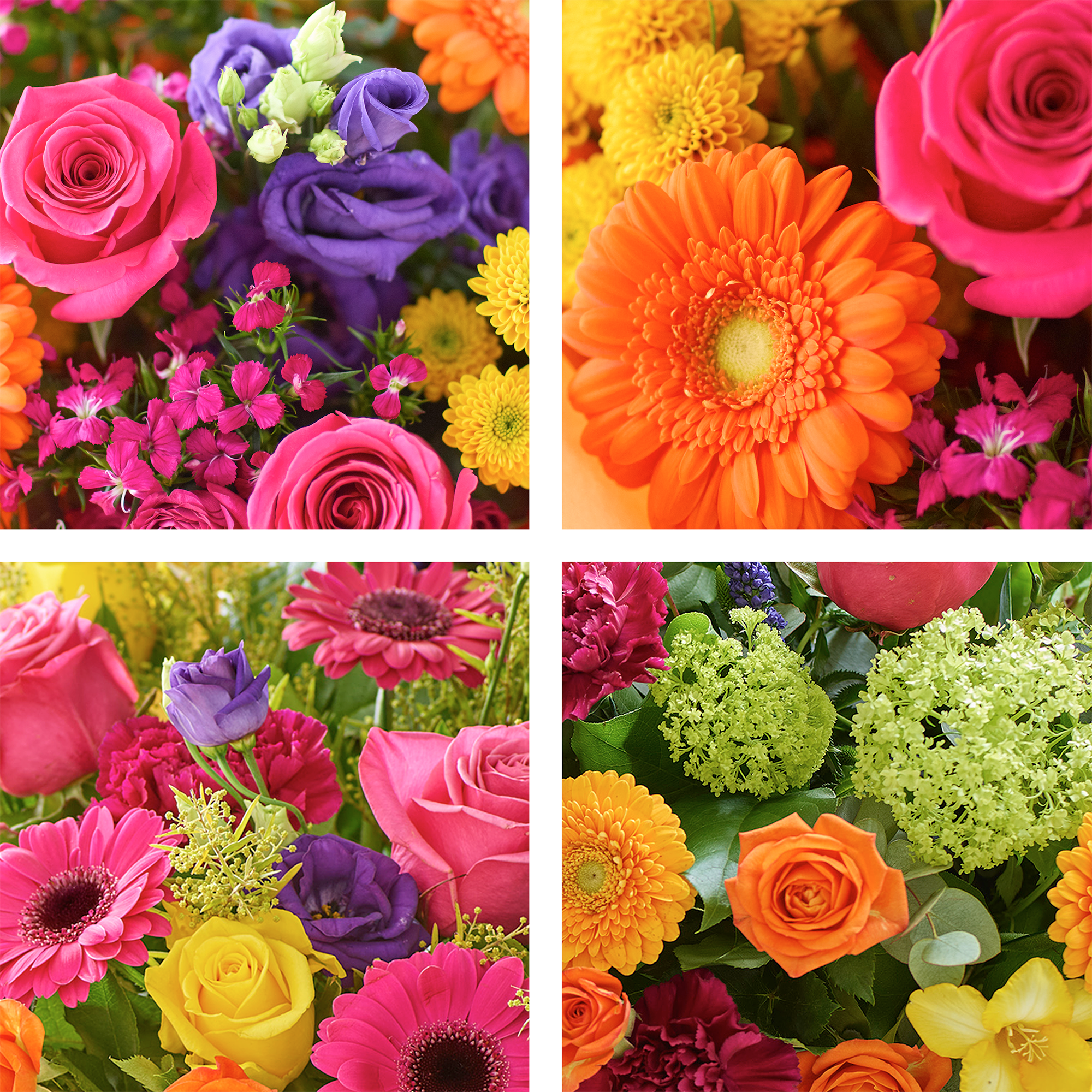 Image 2 of 4 of Special Bright Gift Box