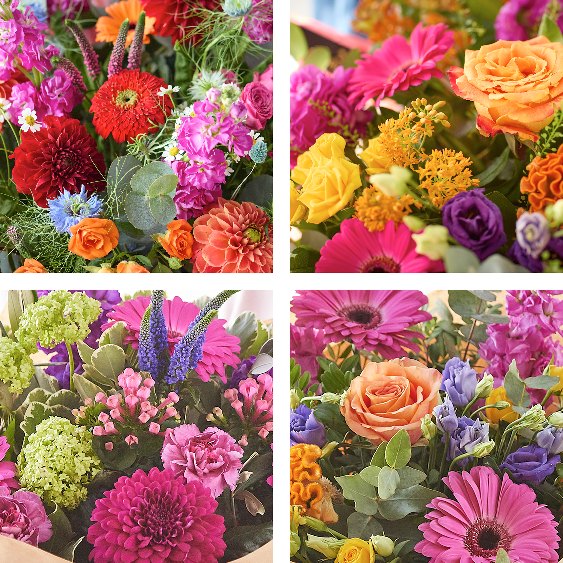 Image 2 of 4 of Sumptuous Bright Bouquet