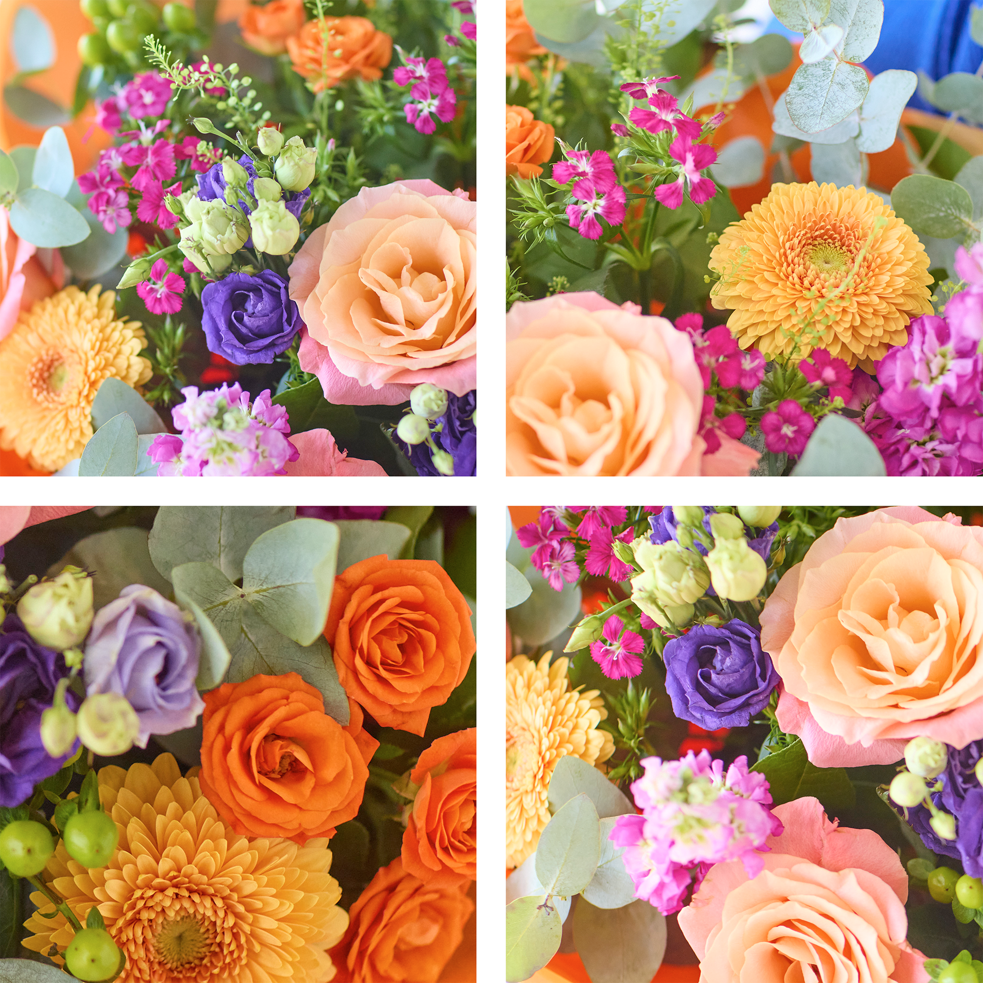 Image 2 of 4 of The Pure Colour