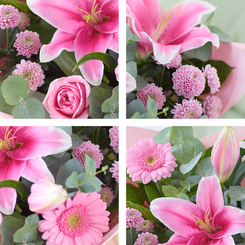 Image 2 of 4 of The Sweet Pinks