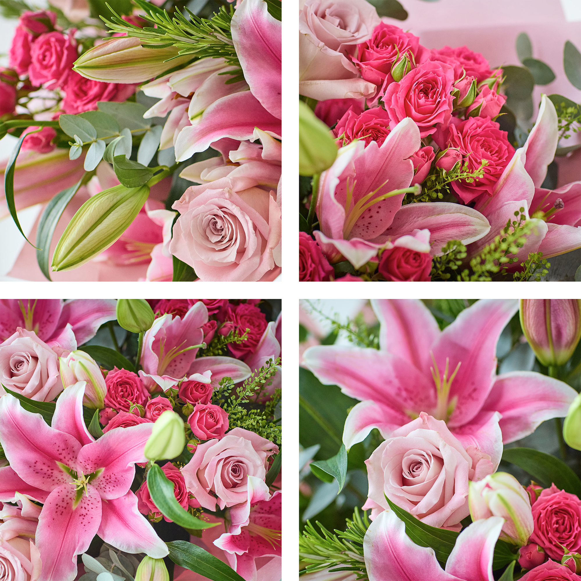 Image 2 of 4 of The Lily Rose Romance