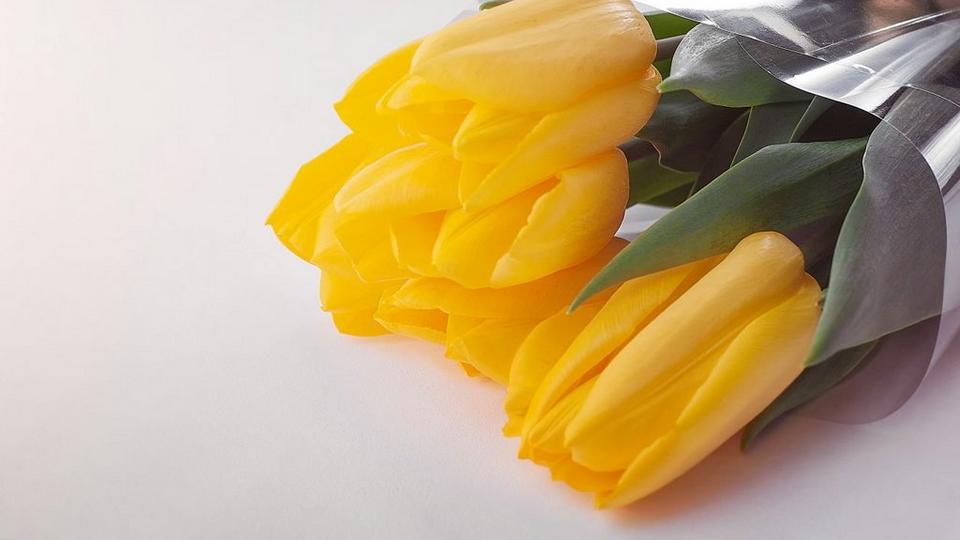 Canva - Bouquet of Yellow Tulips (1)