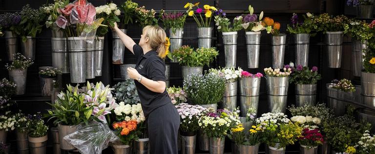 Category-Mobile-cropped_0000_IMG_0190