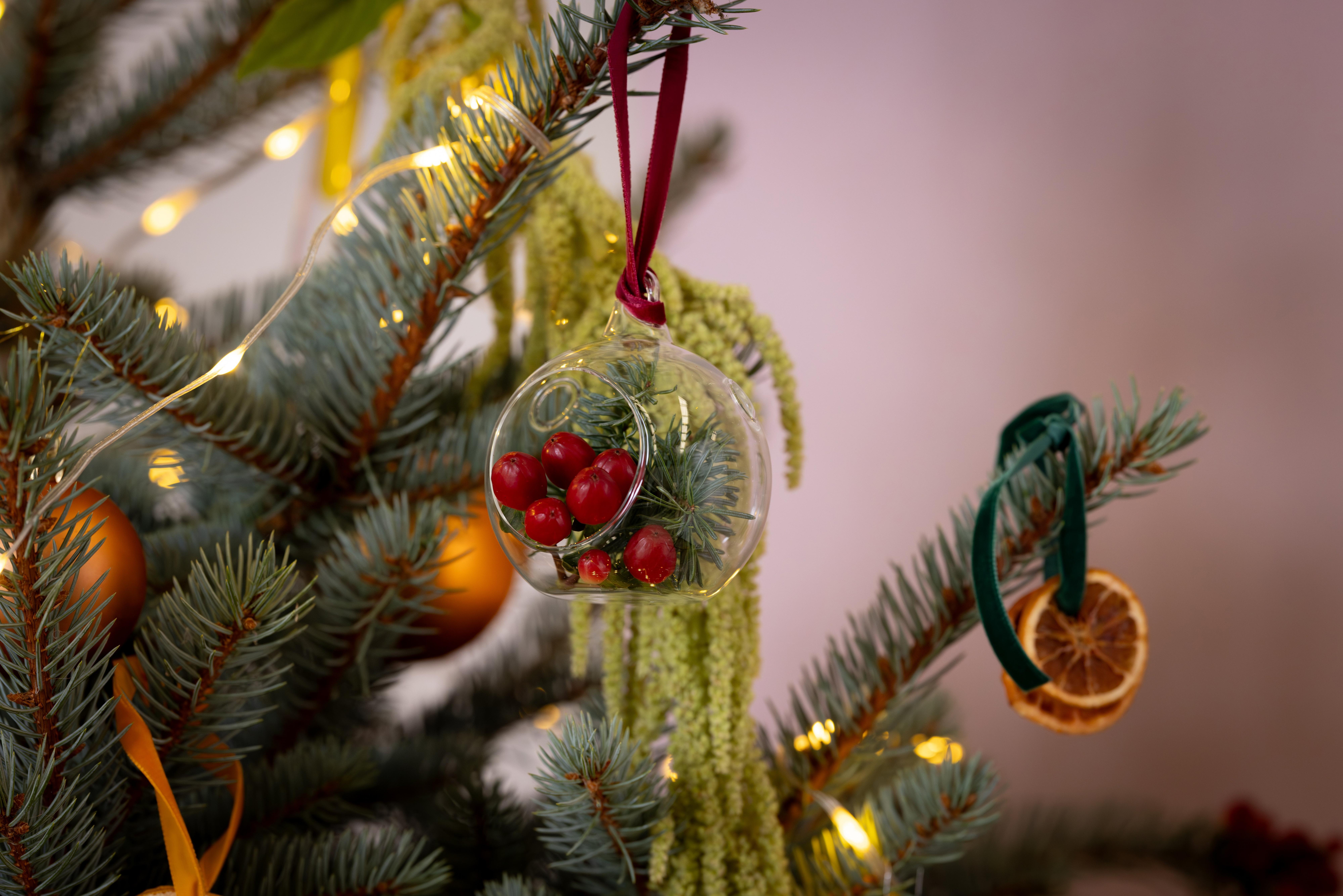 Christmas Decs 3