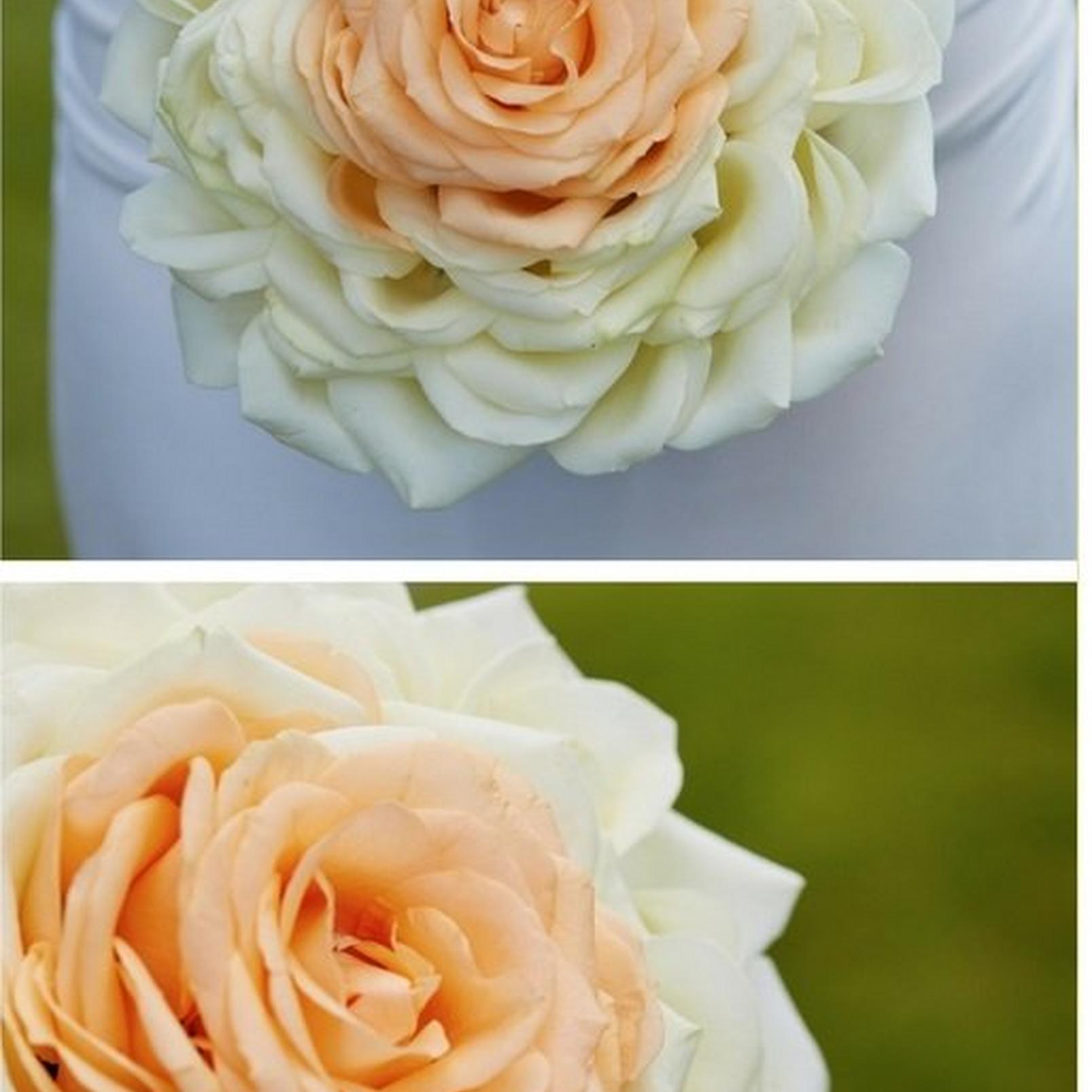 Composite-flower-bouquet2