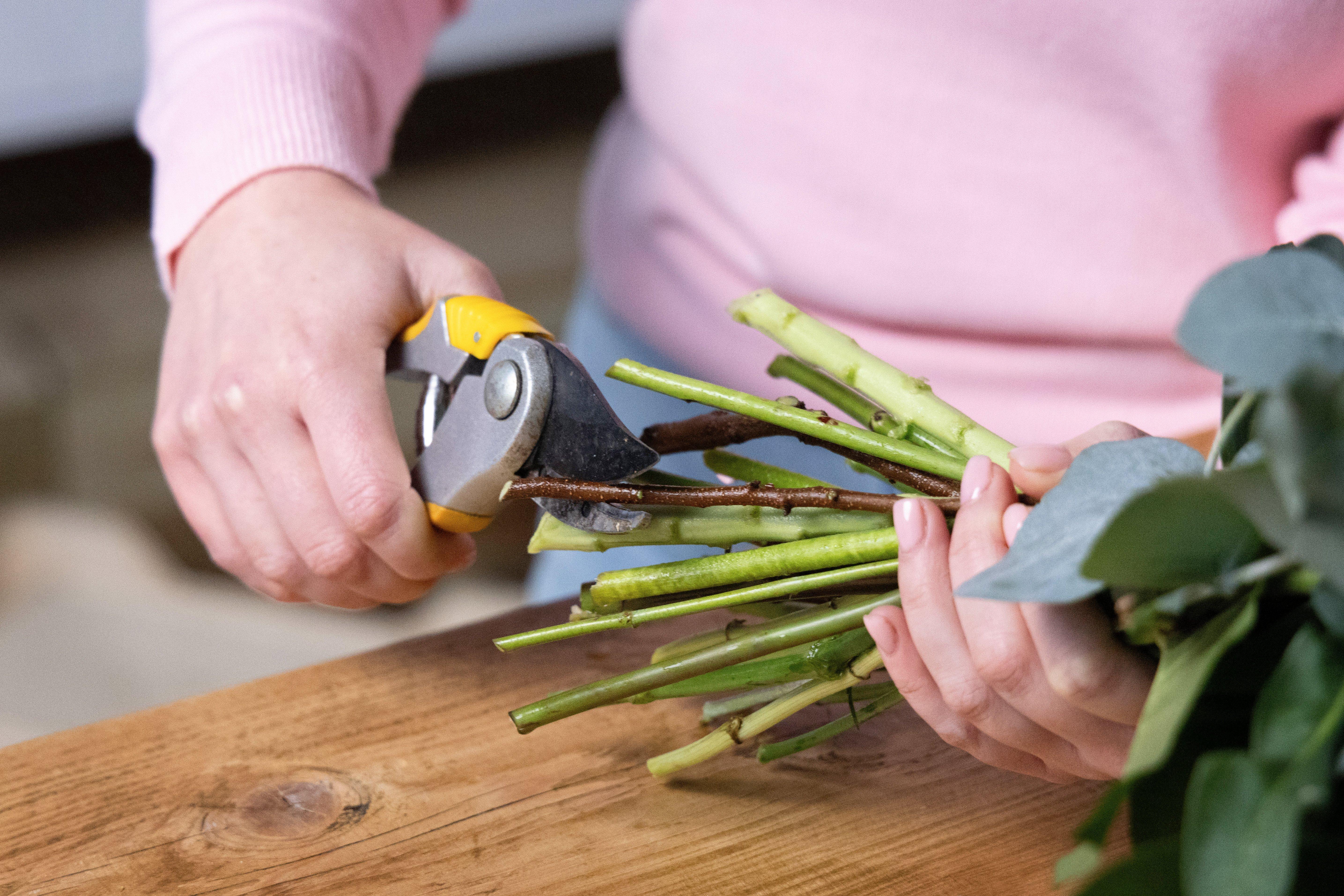 Cutting_stems_at_45_degrees_2-step3