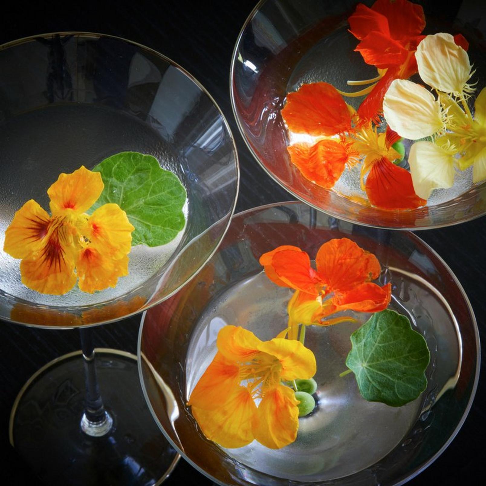 Dirty-Nasturtium-Martini-summer-cocktail-closeup