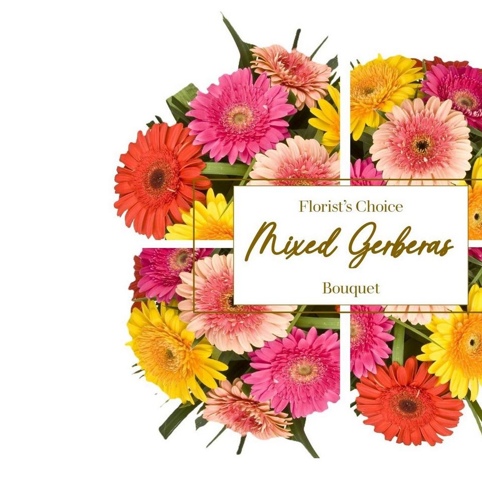 Florist Choice - Gerbera Bouquet