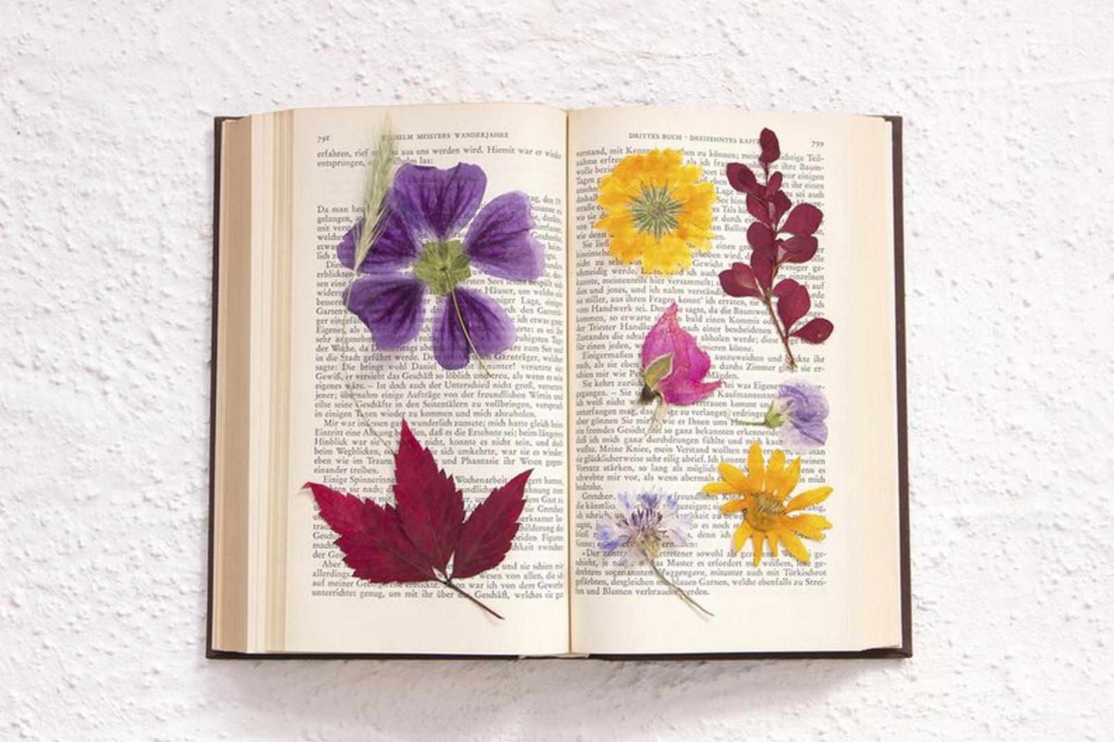Flower-Book