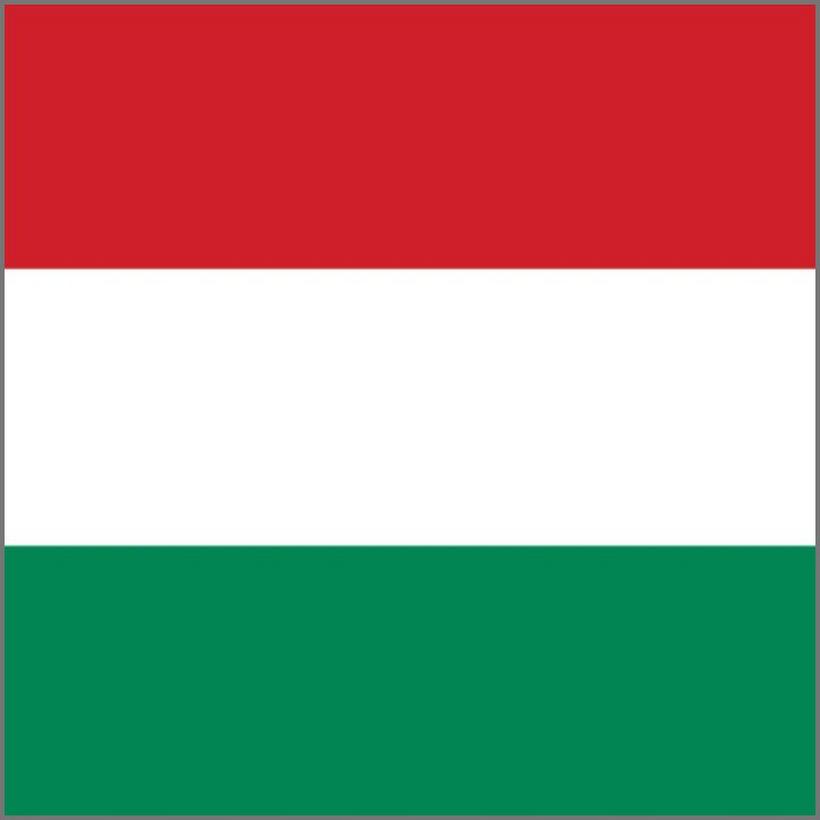 Hungary-flag-competitor-square
