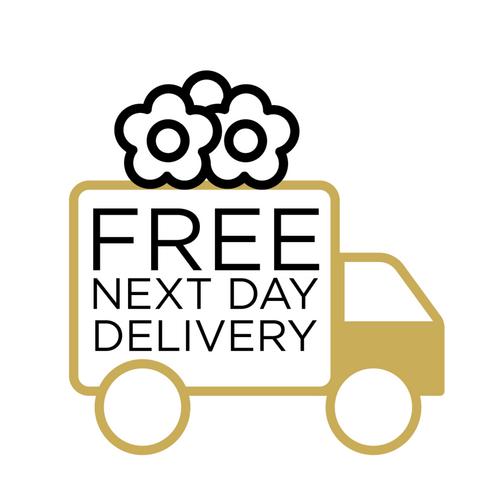 IDP FREE next day delivery@2x