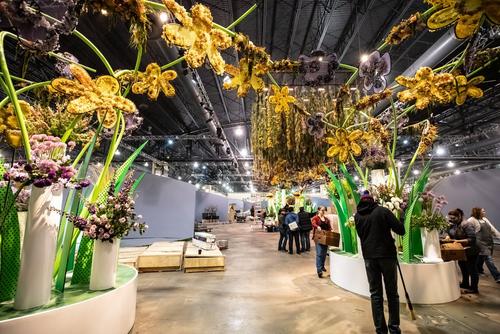 IF World Cup - 0041_2019-02-27_6DM2_IMG_0042_2