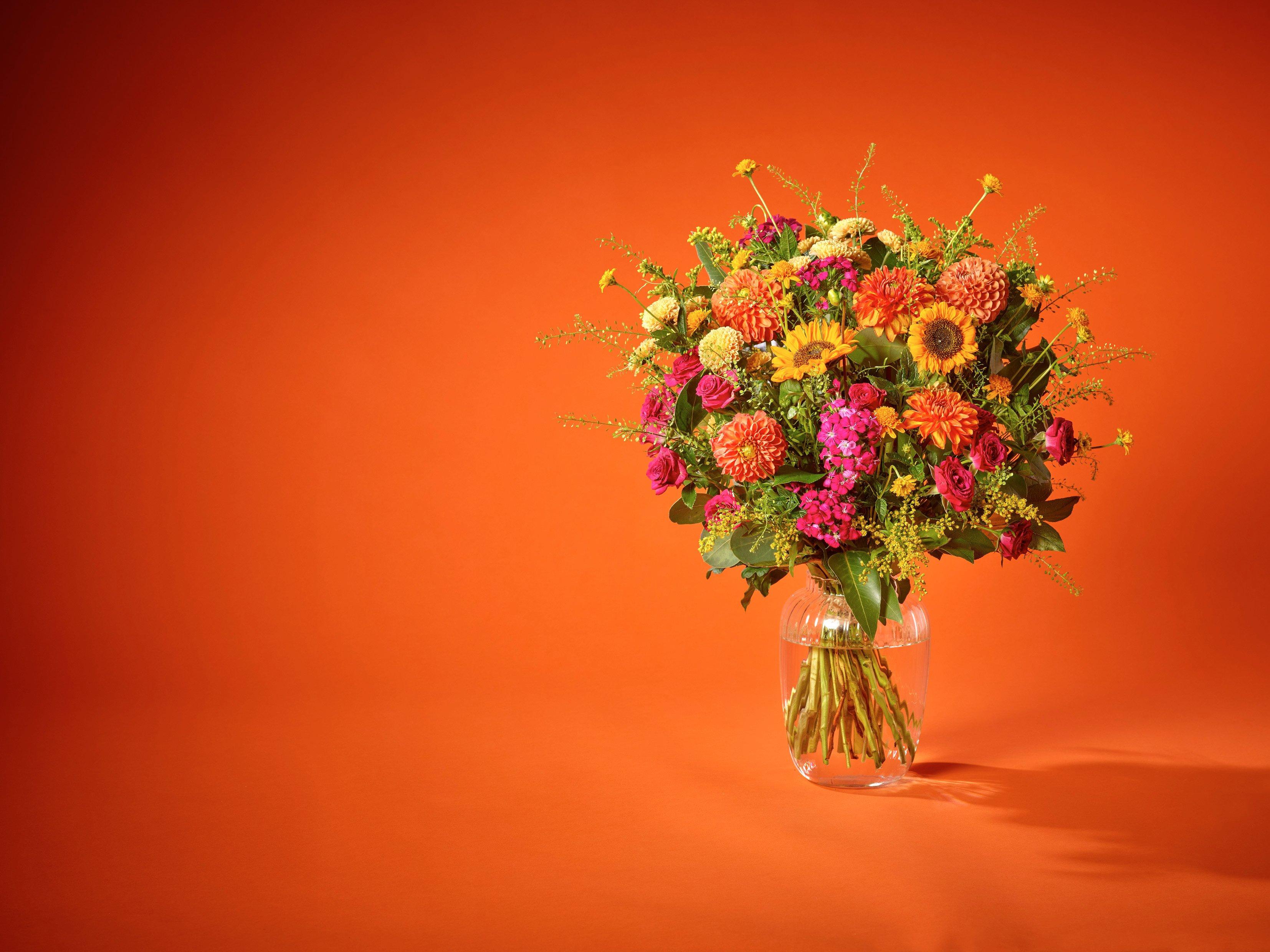 Inflo150725-ADHT0200(BRAND)