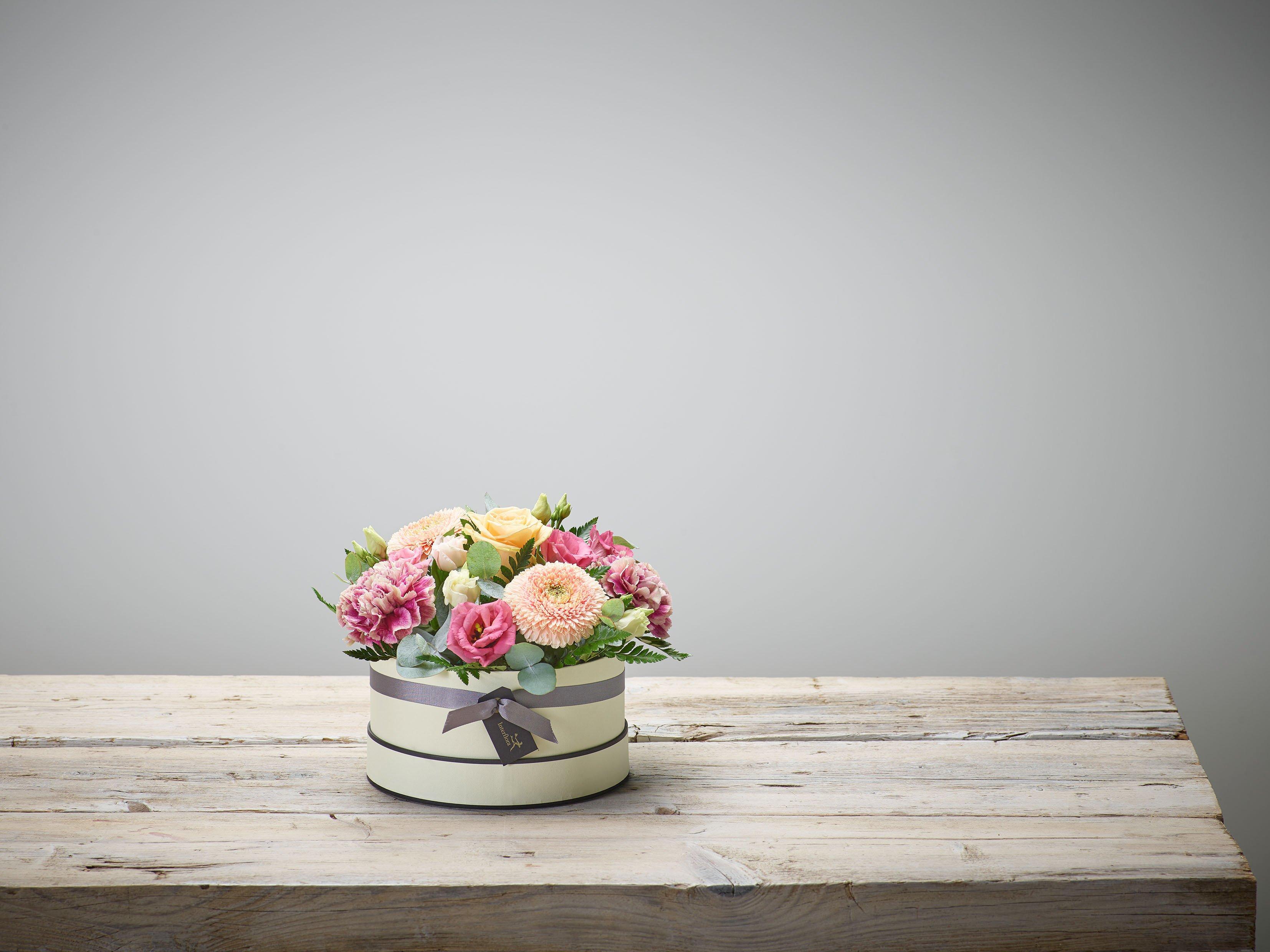 IntFlo-FFNew2020-HBOX1