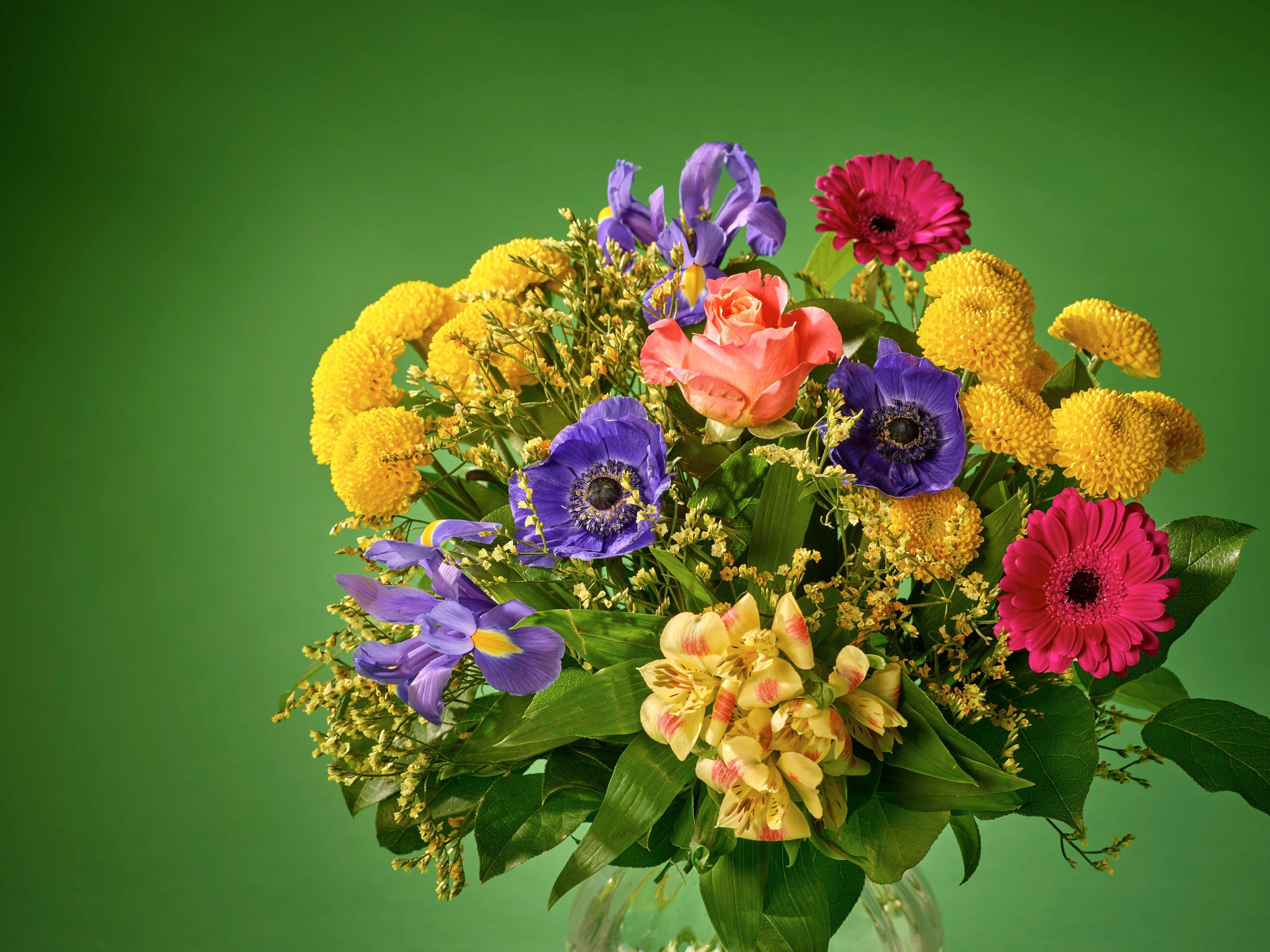 Interflora130525-SCHT0100(BRAND1)