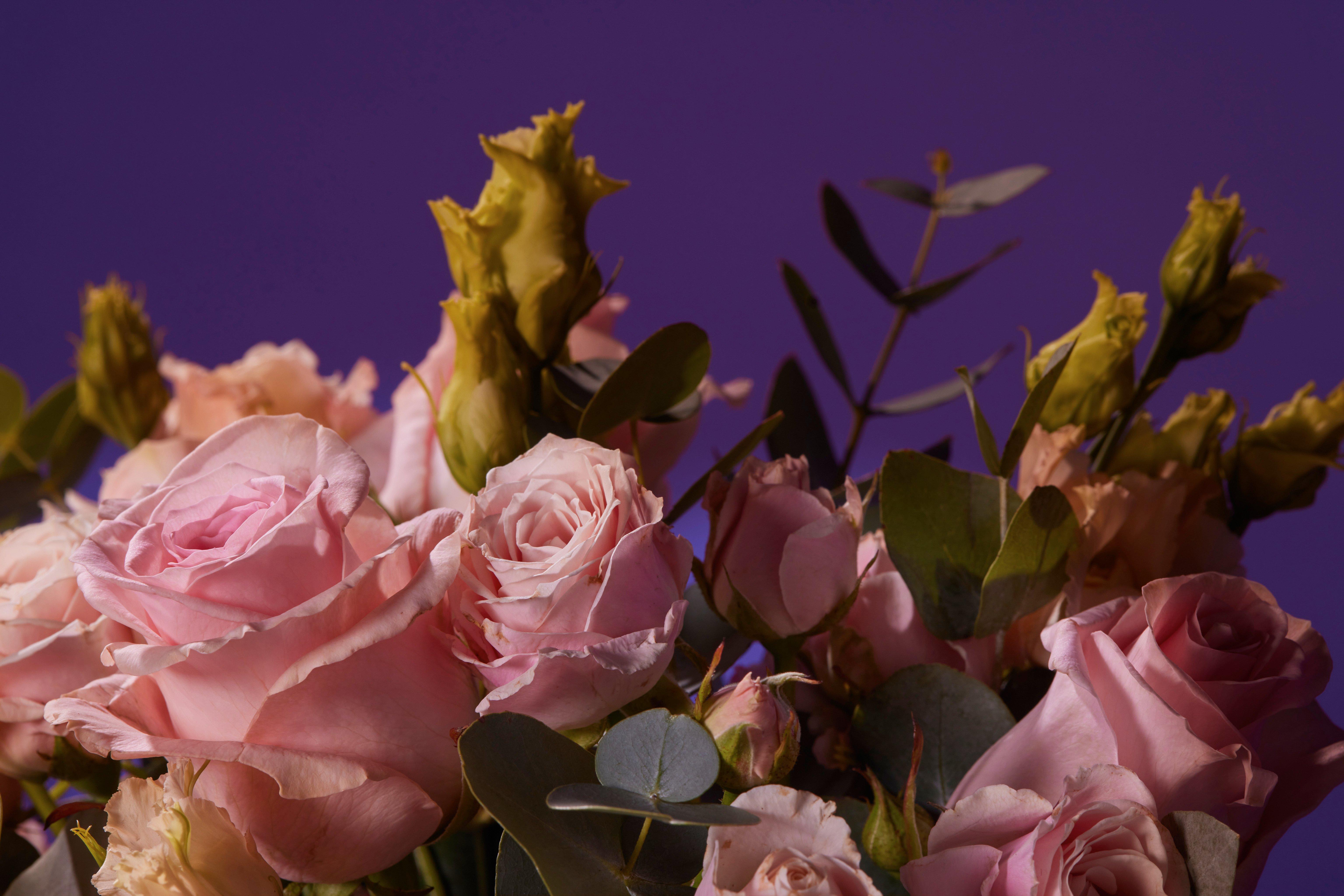 Interflora13122321387