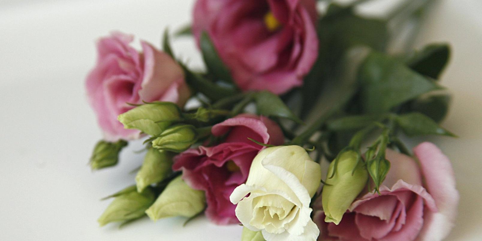 Lisianthus