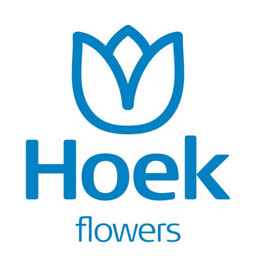 Logo Hoek_Flowers_RGB
