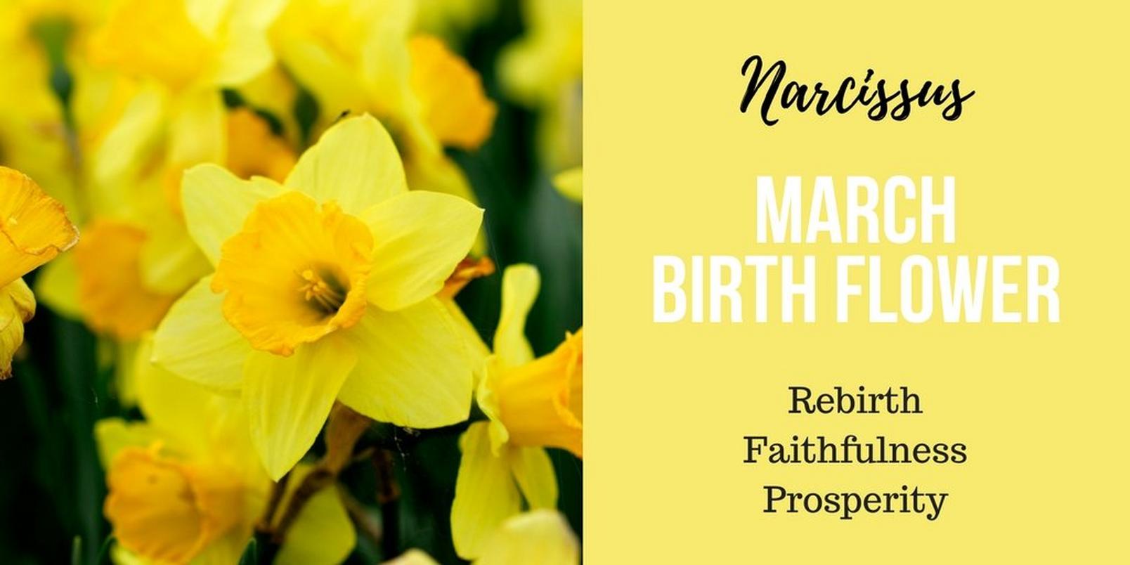 March-birth-flowerff