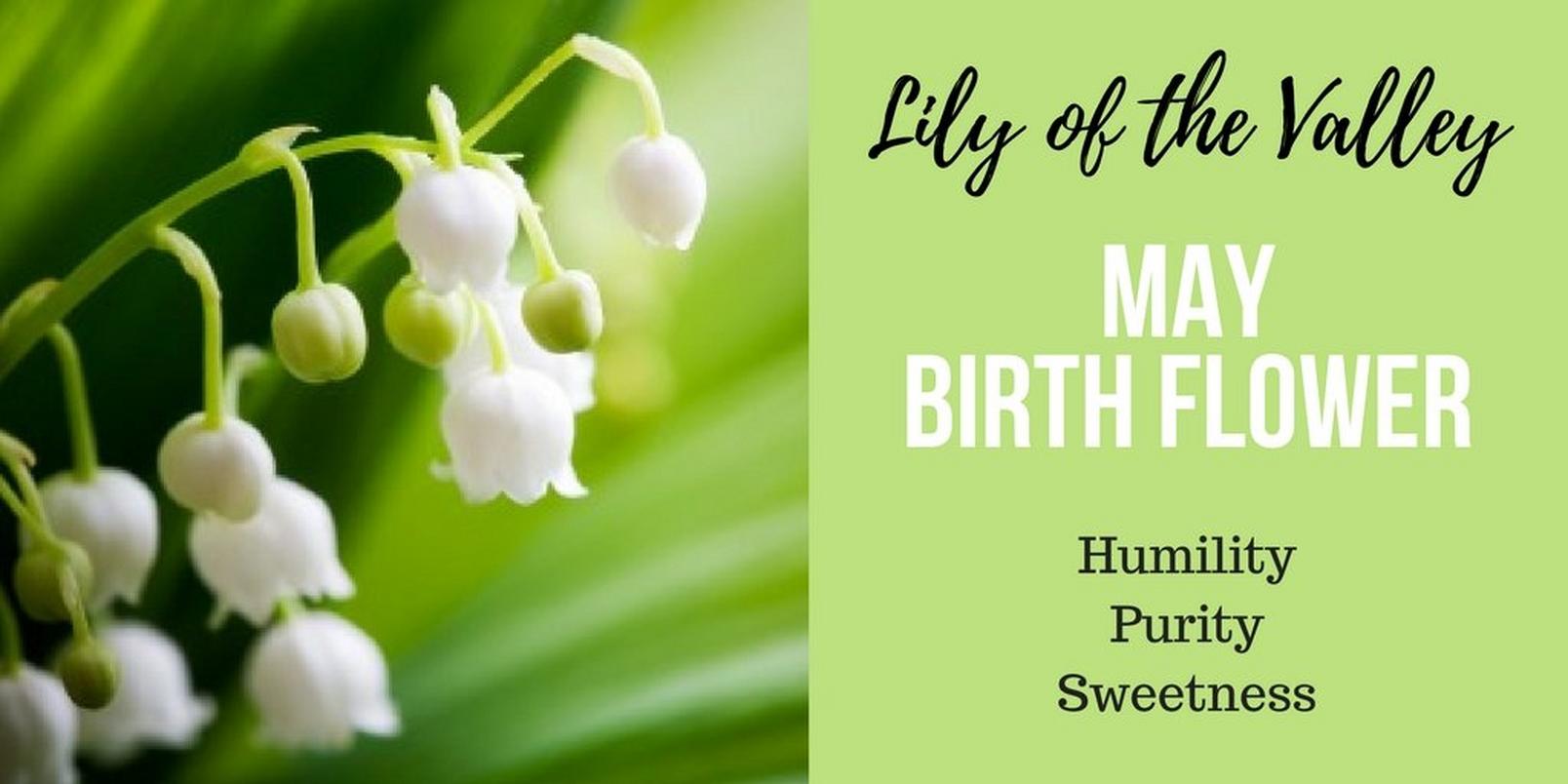 May-birth-flower