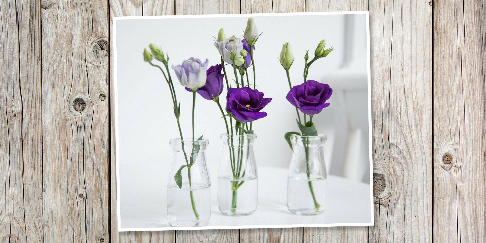 Never-let-anyone-dull-your-sparkle-PLANK