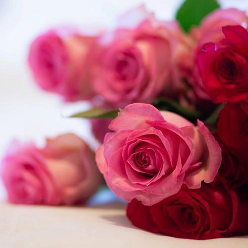 Nine-roses