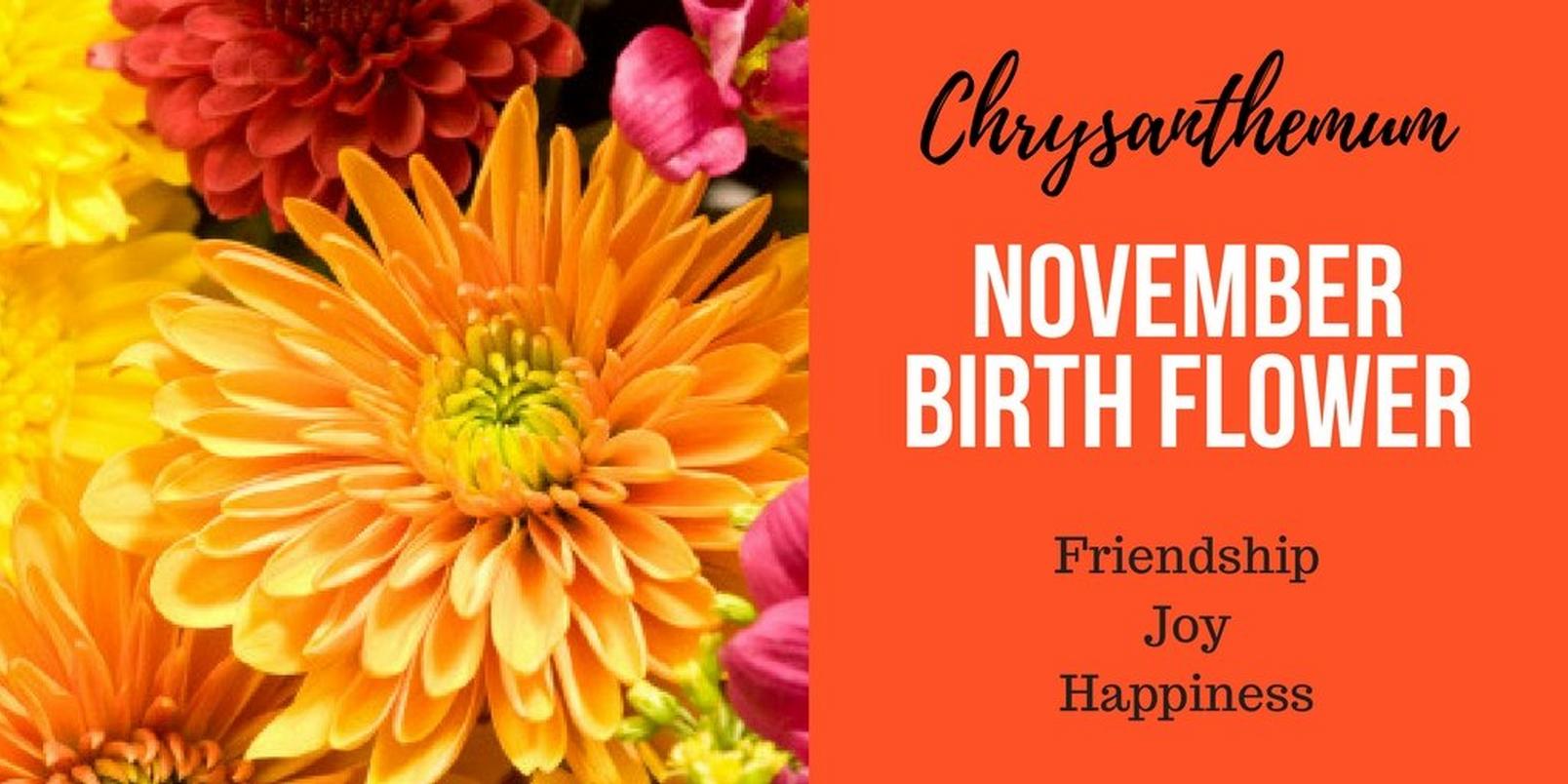November-birth-flower