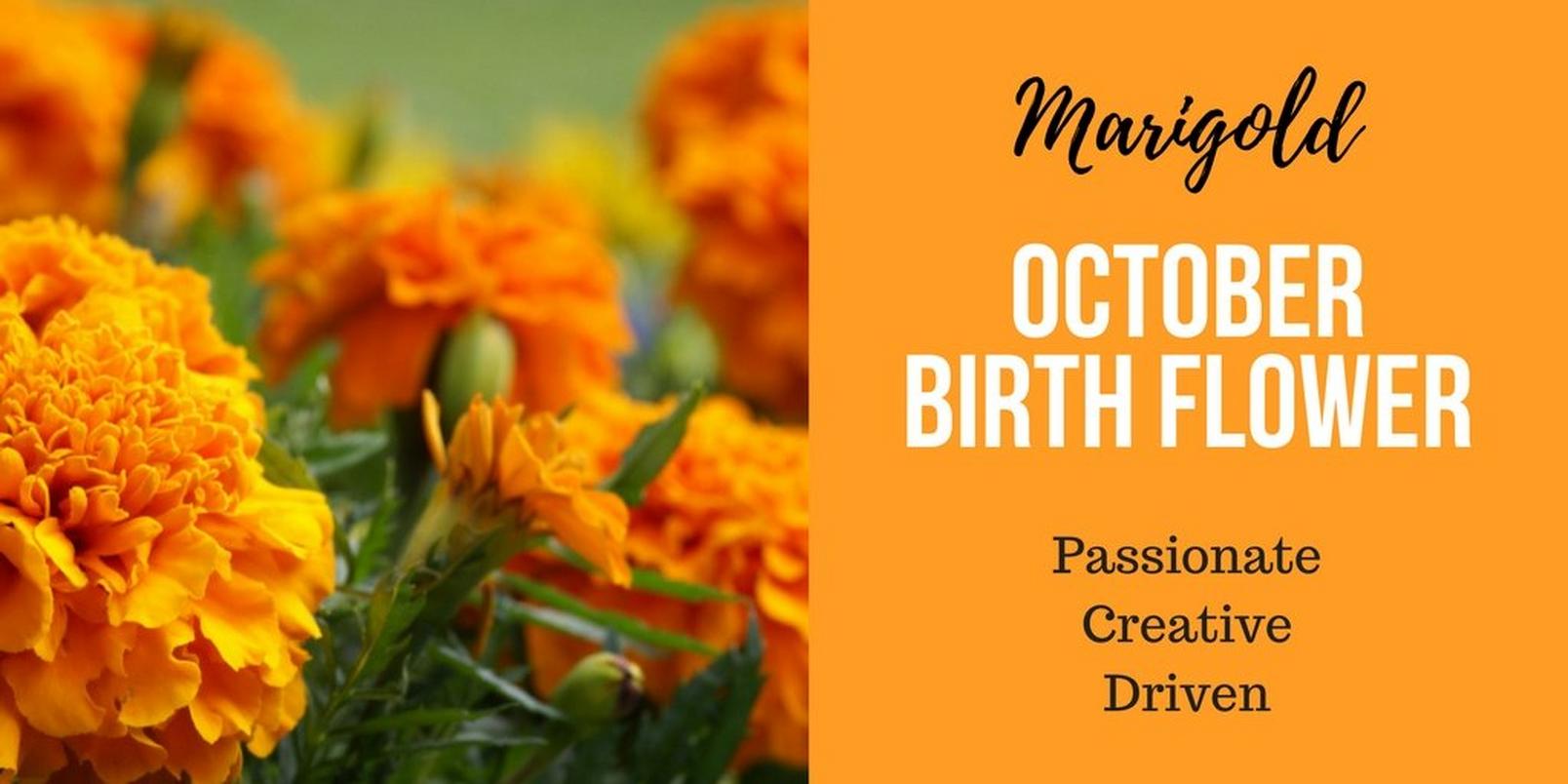 October-birth-flowerff