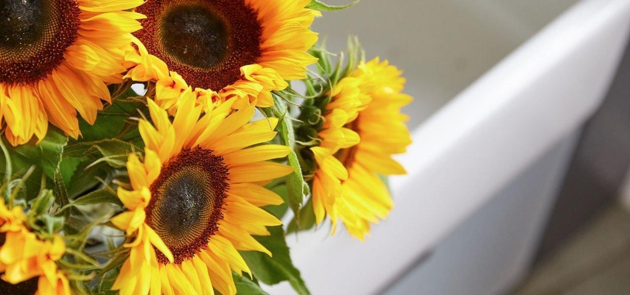 Our-flower-trend-predictions-for-2021-1