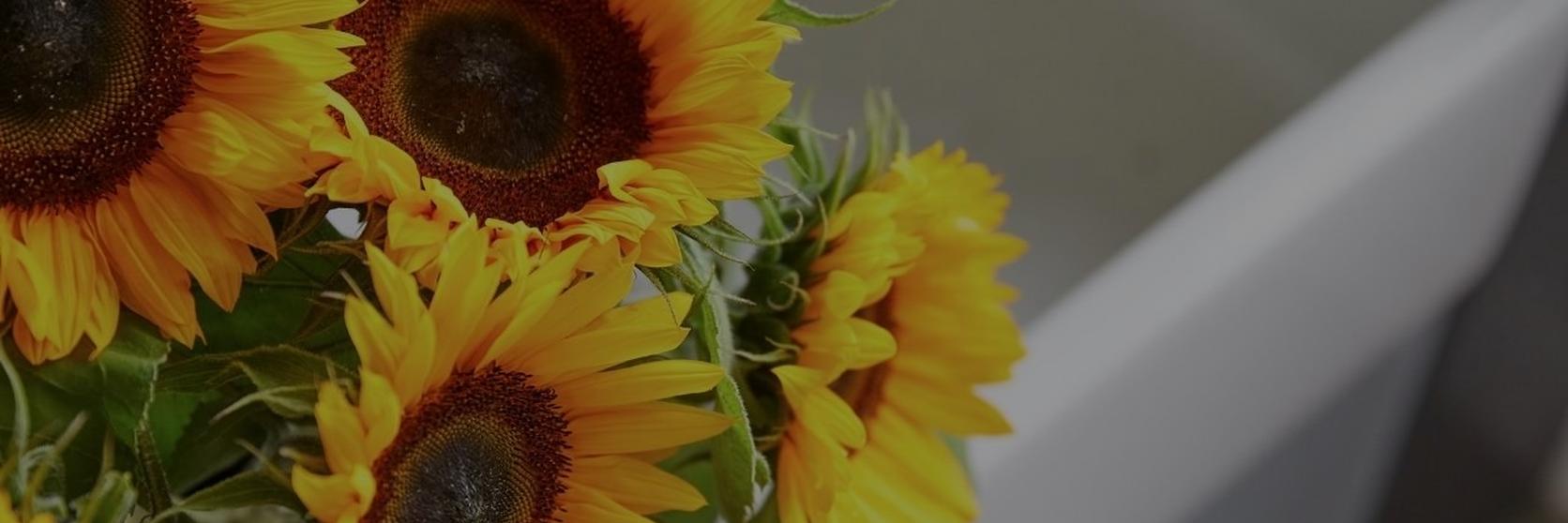 Our-flower-trend-predictions-for-2021-1