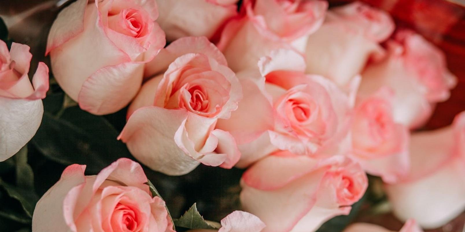 Pink-flowers-9