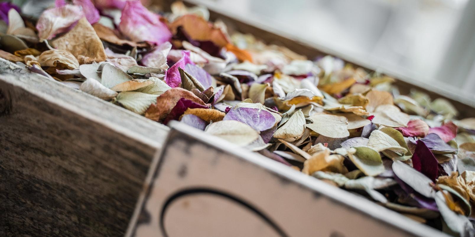 Preserved-petals
