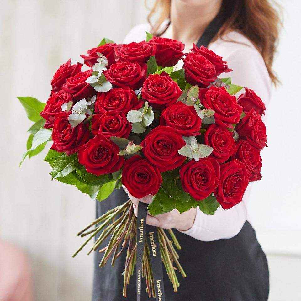 24 Sumptuous Red Roses
