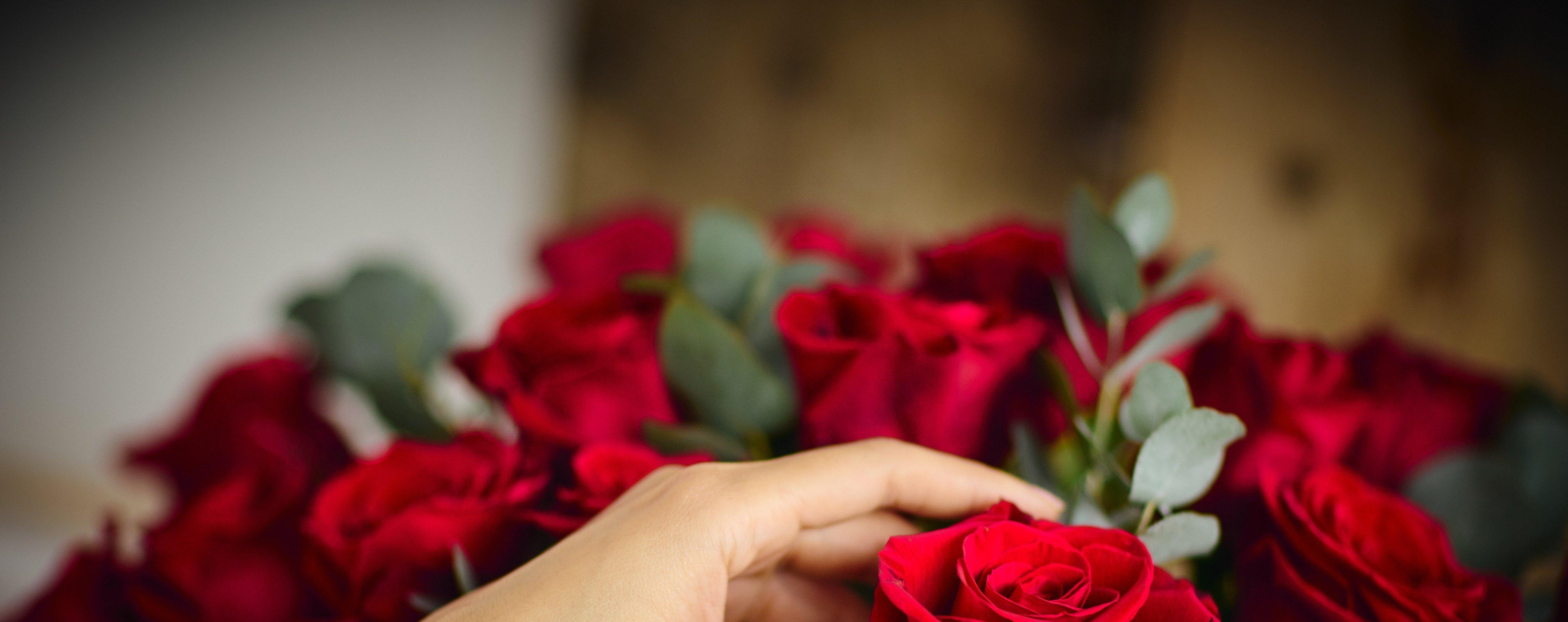 RedRoseContentImageryCOPY