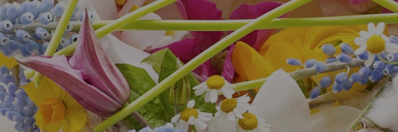 The_best_easter_flowers