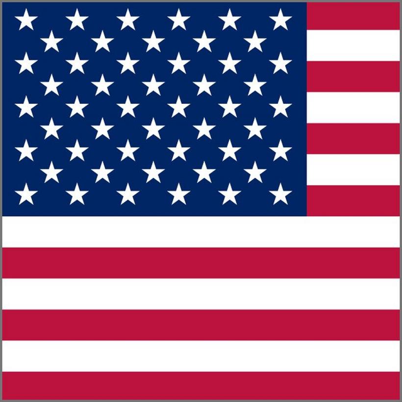 USA-flag-competitor-square