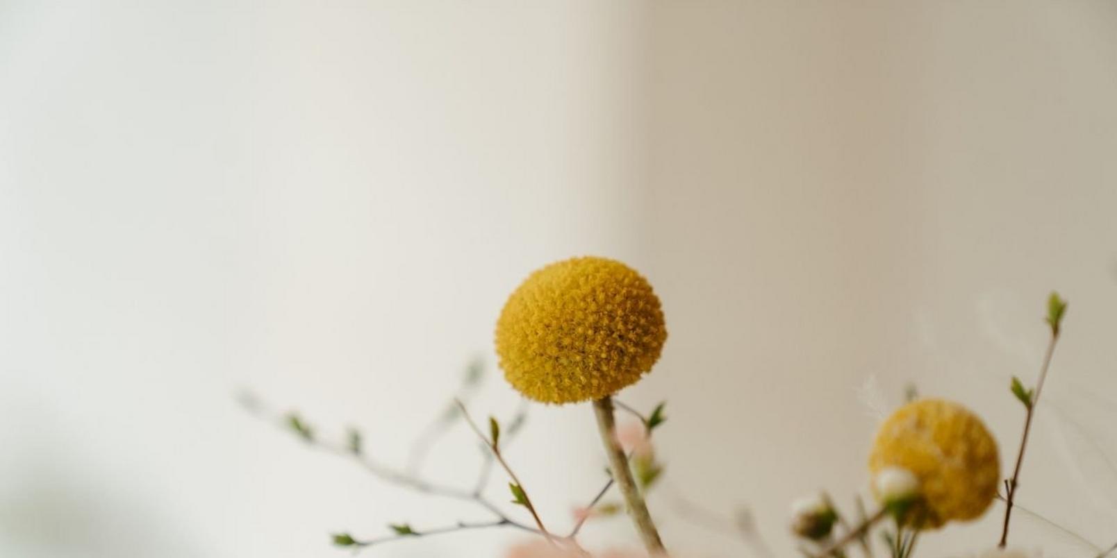 Untitled-design-87