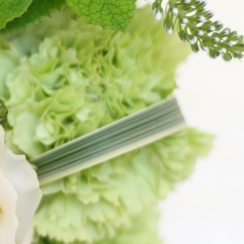 Untitled-design-90-1-green-carnation