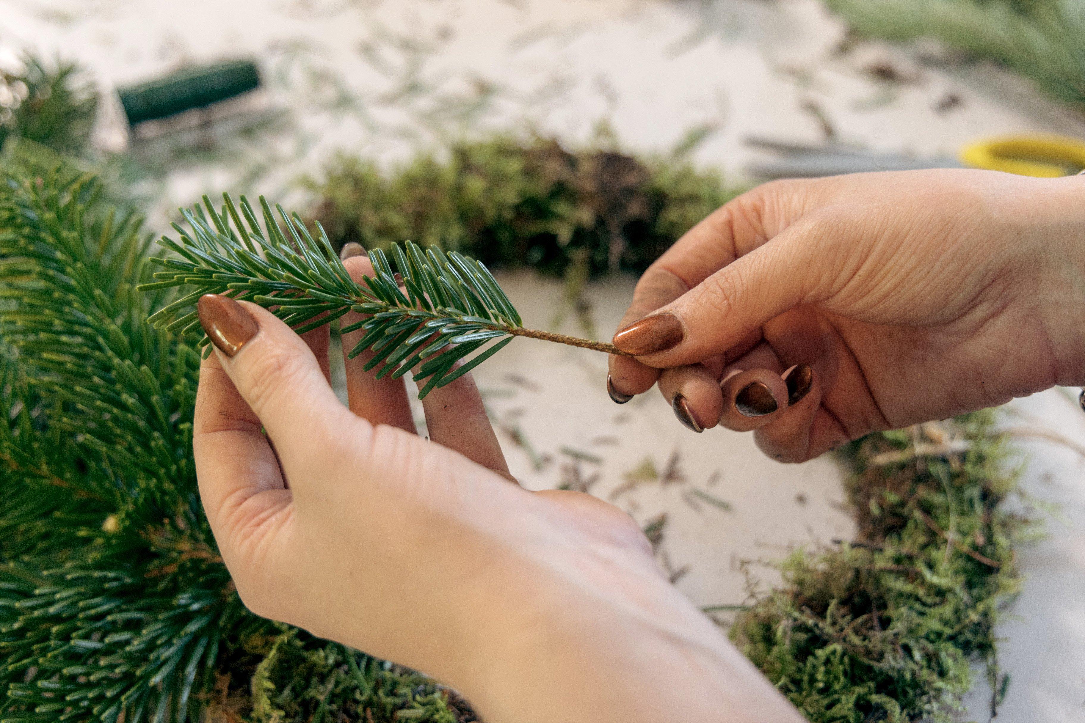 adding_spruce_to_wreath
